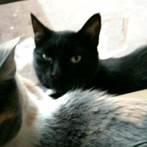 Meet your Posher, Lenette